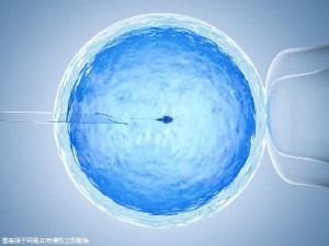冷冻储存